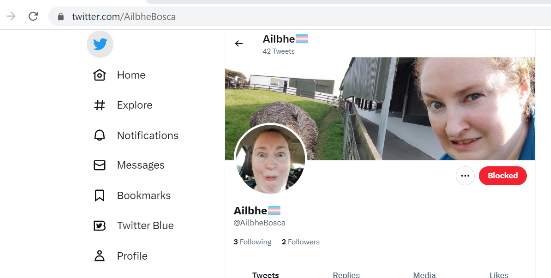 A screenshot of a social media account
Description automatically generated